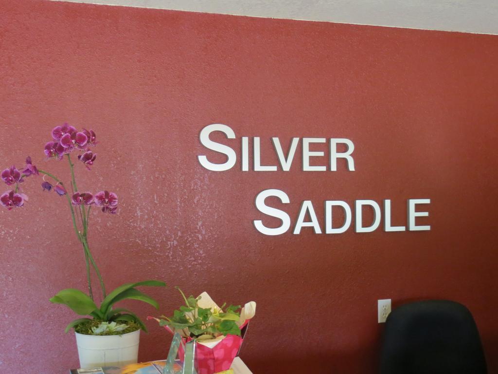 Silver Saddle Motel Manitou Springs Ngoại thất bức ảnh